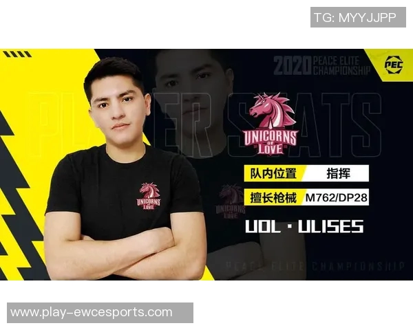 和平精英战术解析WE战队区域防守策略与执行细节全景剖析